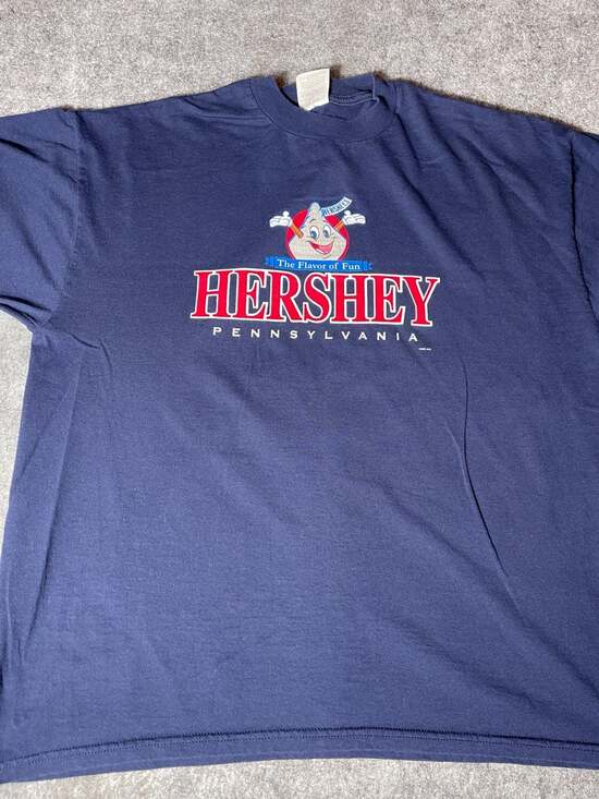 Jerzees Other - Vintage 2002 Hershey Pennsylvania Flavor of Fun Graphic T-Shirt XL